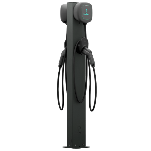 Pedestal - PED-EIFBS-DUAL